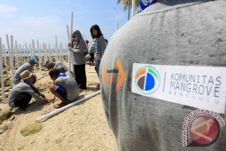 "Sabuk Hijau" Dibuat Di Pulau Tikus Bengkulu