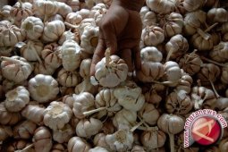 Harga bawang putih di Banyuwangi tembus Rp76.000/kilogram