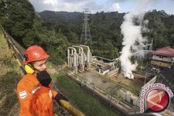 Presiden diharapkan selamatkan aset panas bumi