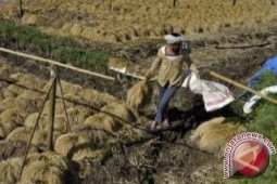 BI optimistis investasi di Bali mengalami akselerasi