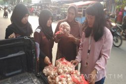 Bulog Gelontor Bawang Putih Rp38 Ribu/Kg (Video)