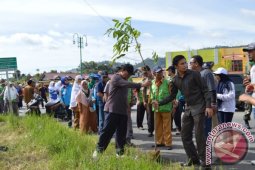 Takengon tanam seribu pohon