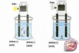Mahasiswa IPB Ciptakan Alat Pendeteksi Halal Makanan dan Minuman