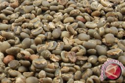 Sumut Upayakan Hak Paten Kopi Arabika Sipirok