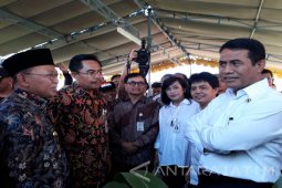 Tiga Kementerian Pantau Harga Komoditas Tiap Hari (Video)