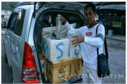 Satpolairud Banyuwangi Gagalkan Penjualan Puluhan Ribu Benur