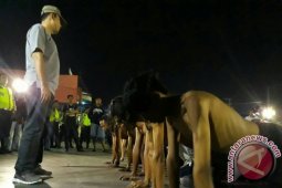Satlantas Polres Kotabaru Tertibkan Balapan Liar