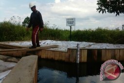 Condition Of Peat Forests In Londerang Jambi Critical
