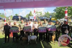 Pangdam Beri Bantuan 100 Kambing di Halut