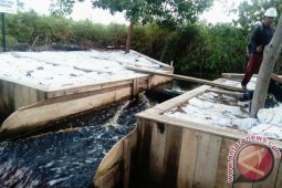 Akademisi: Sekat kanal supaya gambut tetap basah