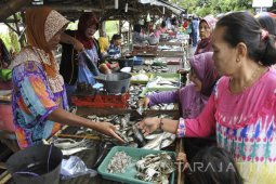 Harga Ikan Naik
