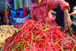 Harga Kebutuhan Pokok  Di Tapsel Terpantau Stabil