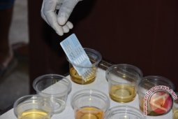 Supir Angkutan Umum Manokwari Jalani Tes Urine
