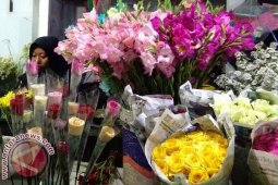 Penjual Bunga Sedap Malam Raup Jutaan Rupiah