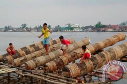 Cornelis : Meriam Karbit Warisan Budaya Melayu Khas Pontianak