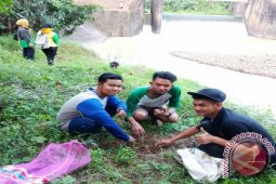 Barangai greening Binuang River banks