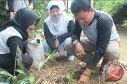 Tapin Hadirkan Keindahan Negeri Tirai Bambu