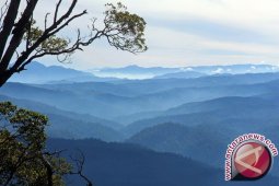 Warisan dunia ekosistem Leuser masih dalam bahaya