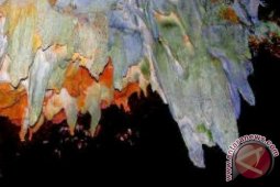 Indahnya Panorama Gua Sayur Matinggi Tapsel