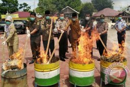Polisi Musnahkan Sabu - Ganja