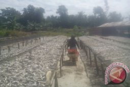 Pengusaha Ikan Asin di Pangkalpinang Kurangi Produksi