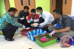 Kulit Bawang Merah Untuk Kesehatan Hati
