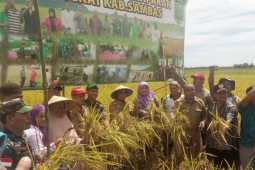 Bupati Sambas Ajak Generasi Muda Bertani