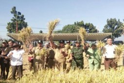 Situbondo Kembangkan Pertanian Organik