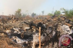 BPB Aceh ingin status siaga darurat asap