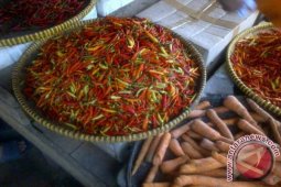Harga Cabai di Pangkalpinang Kembali Melonjak