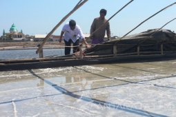 Khawatir Kebijakan Impor, Petani Probolinggo Diminta Genjot Produksi Garam