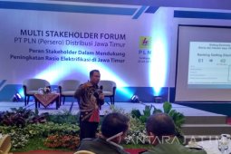 PLN Targetkan Elektrifikasi 100 Persen Pada 2019
