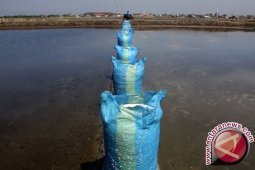 Petani Diminta Tingkatkan Produksi Garam