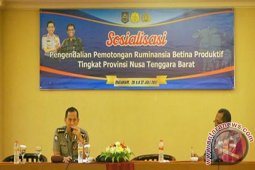 Polri Andalkan Bhabinkamtibmas Cegah Pemotongan Sapi Produktif