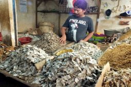 Dampak Kenaikan Garga Garam