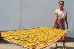 Kenaikan Harga Garam Berdampak pada Ikan Asin