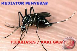 Serdang Bedagai Berantas Penyakit Kaki Gajah
