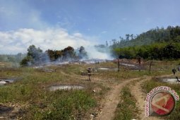 Satpol PP Tangkap Tiga Pelaku Karhutla