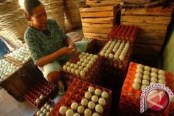 Harga Telur Asin di Pangkalpinang Naik Akibat Garam Mahal