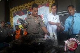Kapolda Kalsel Surati Polda Jatim Terkait Zenith