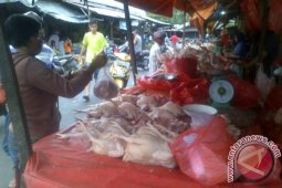 Harga ayam potong bertahan Rp35.000 usai Imlek
