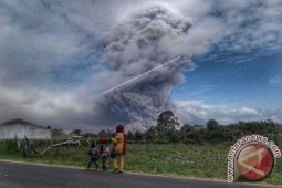 Radius 7 KM Sinabung Steril
