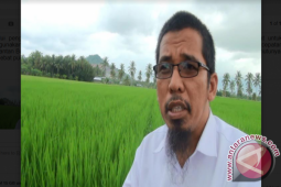 Menuju Swasembada Benih, Kalbar Kembangkan "Benihku Hebat"