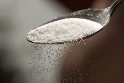 Gula Kayu Alternatif Pengganti Pemanis