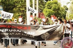 Walhi: Perusahaan pembakar lahan harus ditindak tegas (Video)