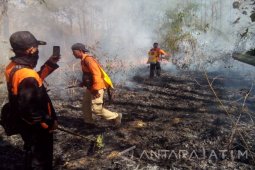 Hektaran Hutan di Taman Nasional Baluran Situbondo Terbakar