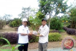 Pena Hijau Serahkan Pohon Langka Ke KRB