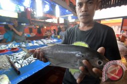 Harga Ikan Laut Di Kabupaten Gorontalo Naik