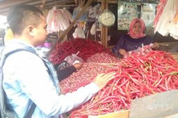 Harga Cabai Kecil di Sumenep terus turun
