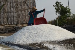 Petani Berharap Pemerintah Tidak Banyak Impor Garam